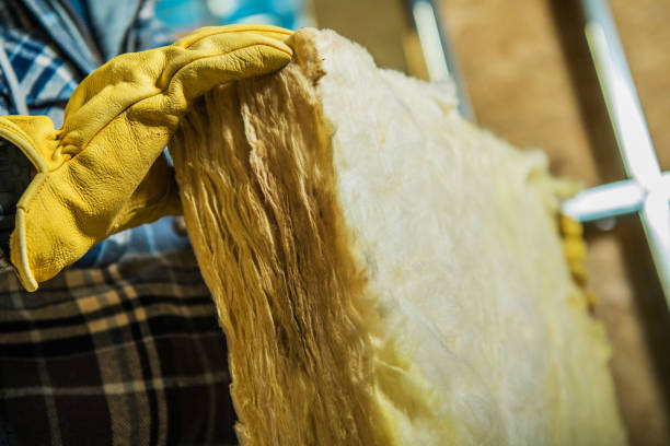 Best Insulation Installation Services in Stanford, KY