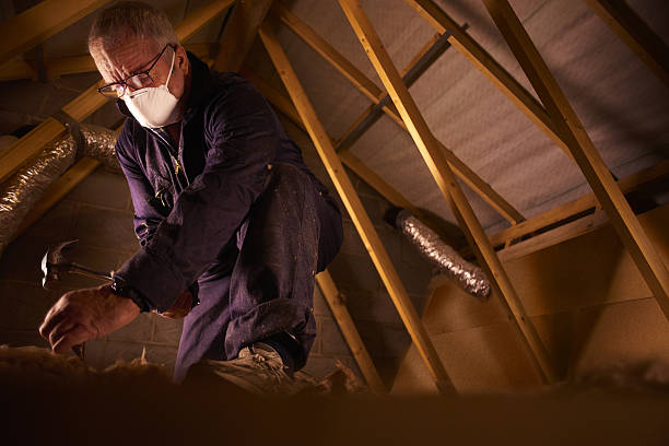 Best Commercial Insulation in Stanford, KY